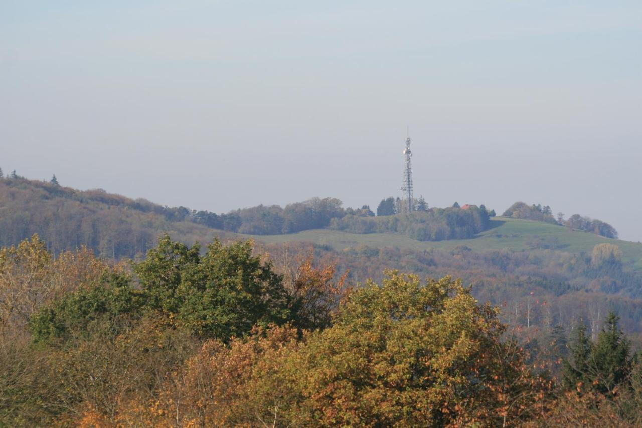 Fewo Im Naturpark Spiegelberg Экстерьер фото